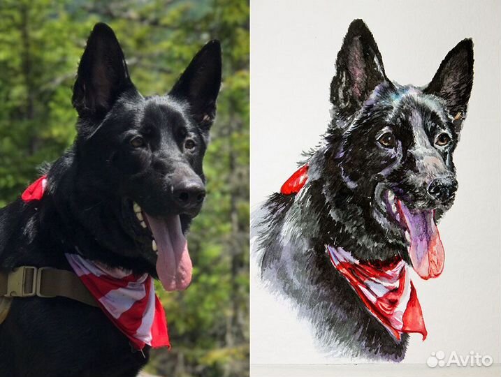 Портрет собаки на заказ по фото акварелью