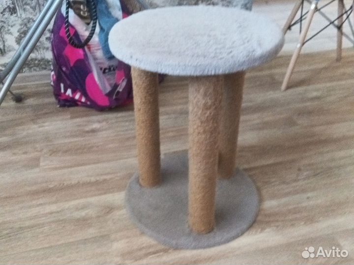 Кошачий домик