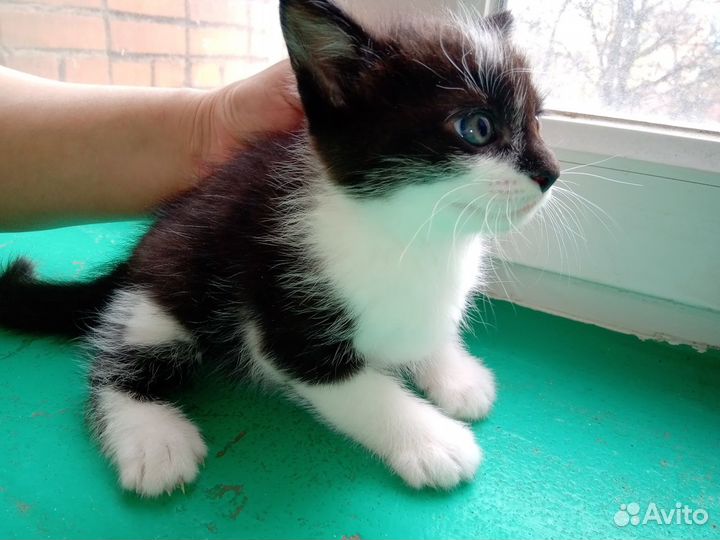 Мальчик 2 годика (д.р.21.03.20)