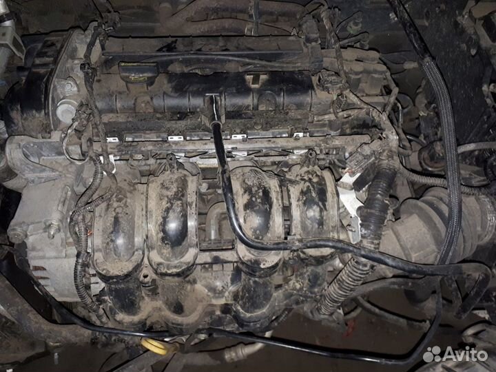 Двигатель Фокус 2