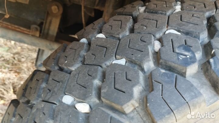 Mercedes-Benz 814, 1981