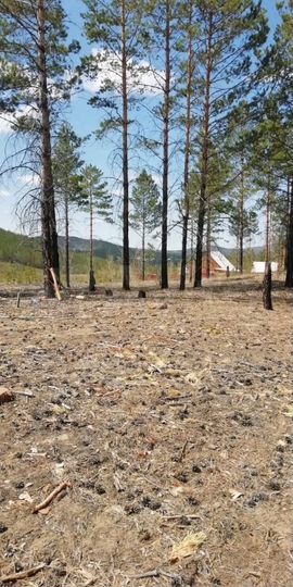 Участок 6 сот. (ИЖС)