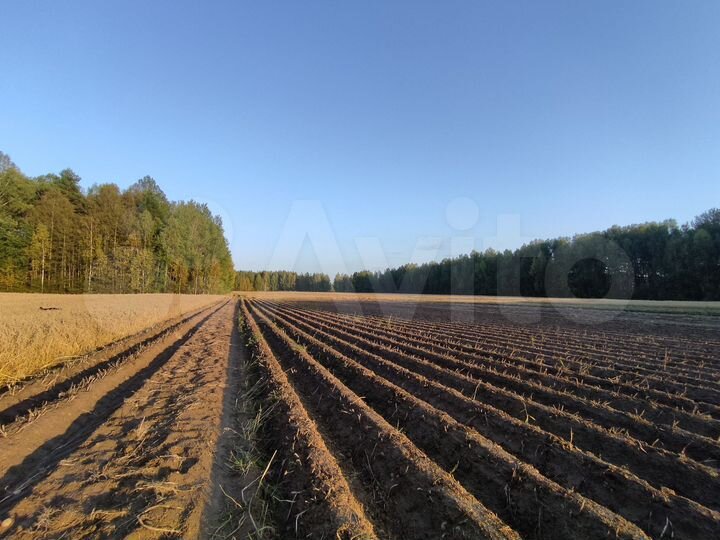 Участок 6,3 га (СНТ, ДНП)