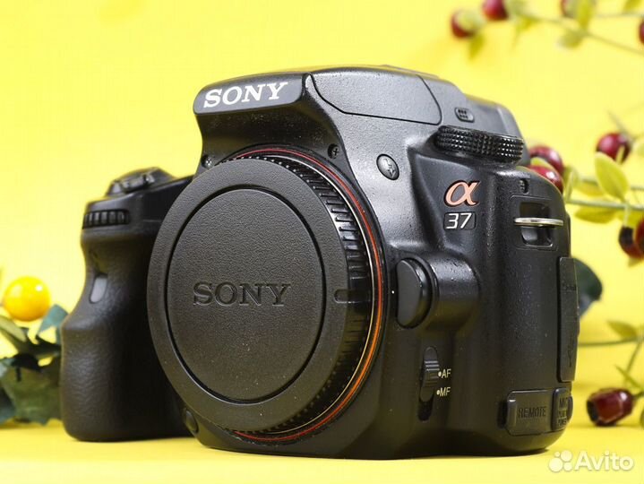Фотоаппарат Sony a37 body