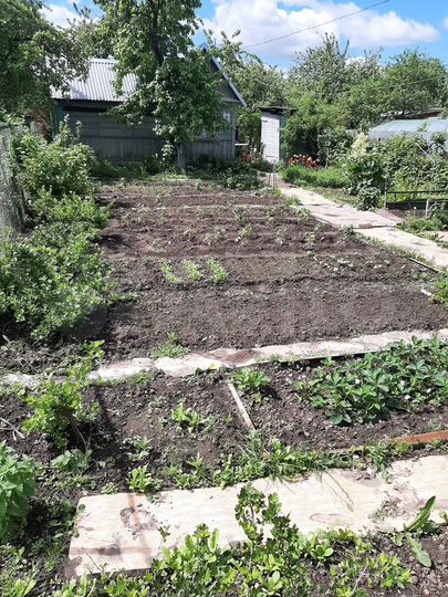 Дача 40 м² на участке 4,2 сот.