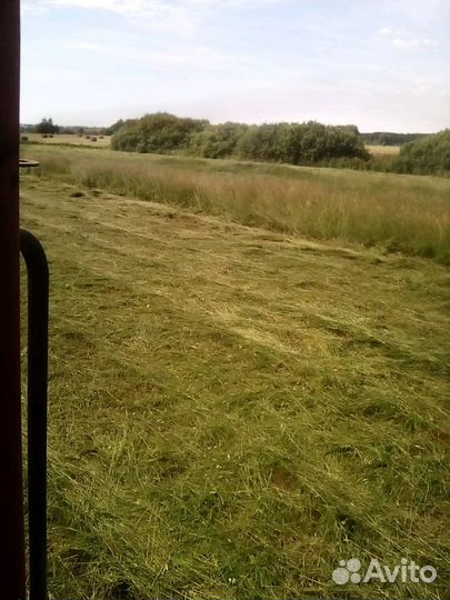 Сено луговое