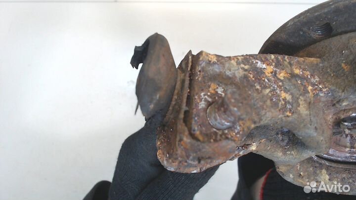 Ступица (кулак, цапфа) Renault Scenic, 2004