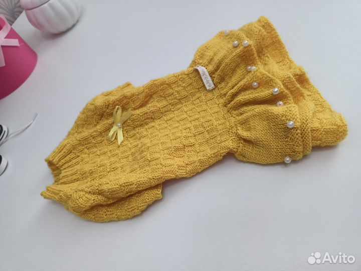 Одежда и обувь для собак