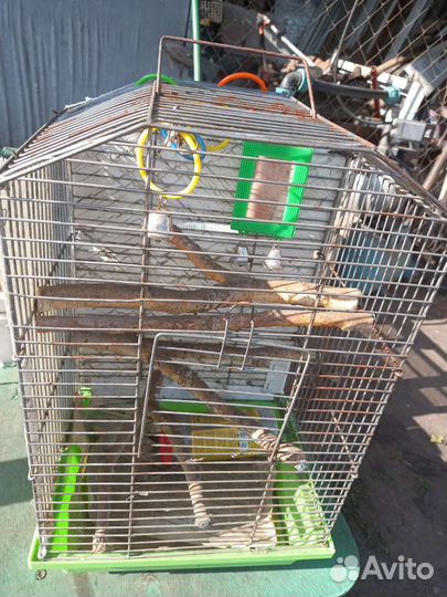 Клетка для попугая