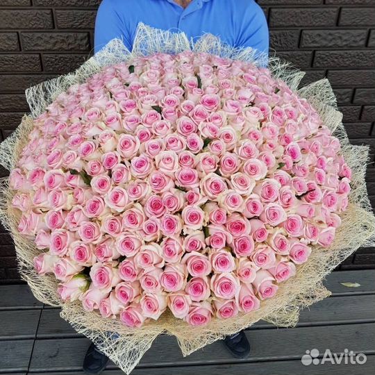 101 роза 51 роза 75 45 31 21 Букет Доставка