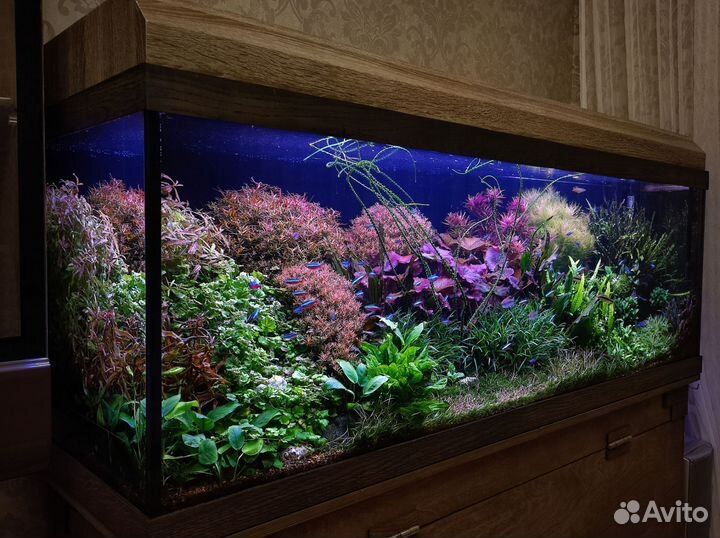 Аквариум с тумбой