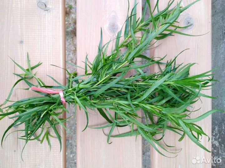 Огурцы, помидоры, черный крыжовник, смородина