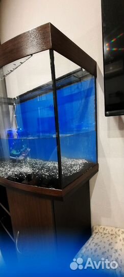 Аквариум с тумбой 215 литров