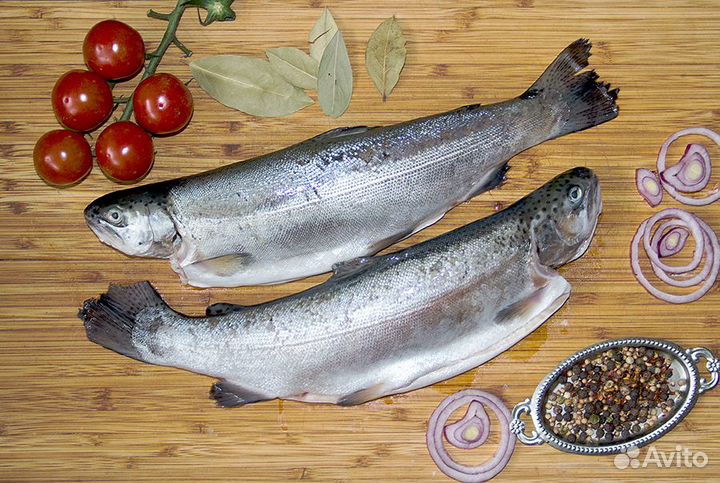 Форель радужная, потрошеная с головой