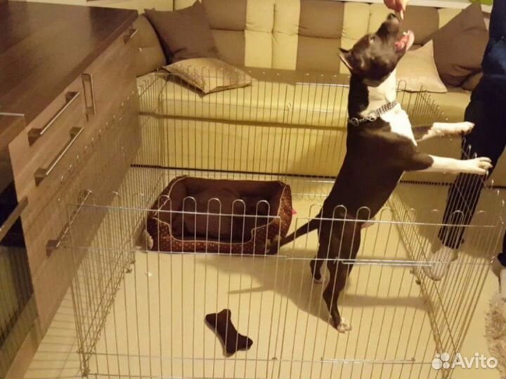 Вольер манеж для собак разных размеров