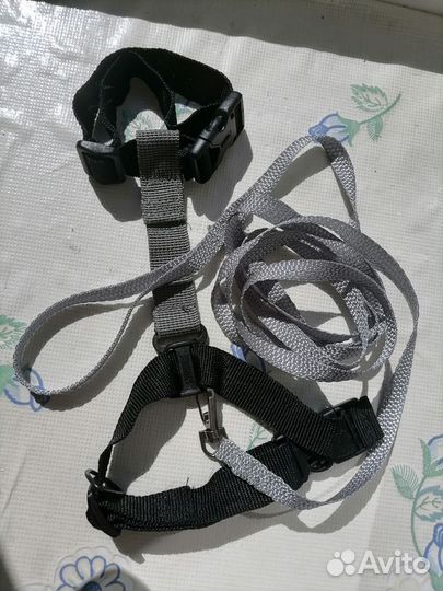 Шлейка + поводок для кошек и собак