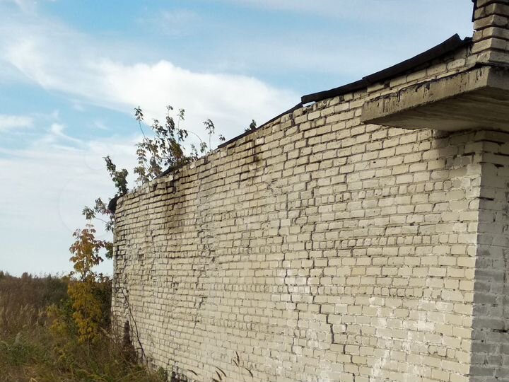Торговая площадь, 80.8 м²