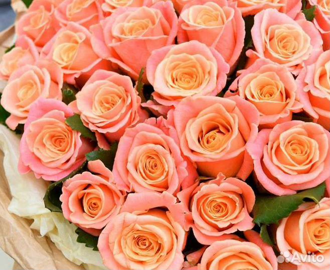 Розы России 60 см