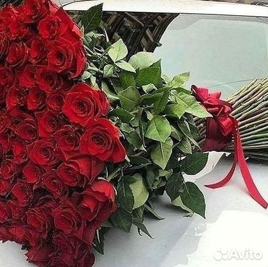 Розы Букеты Цветы Розы 31 101 151 201 Доставка
