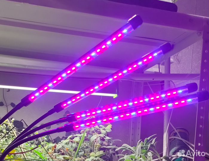 Фитолампа светодиодная