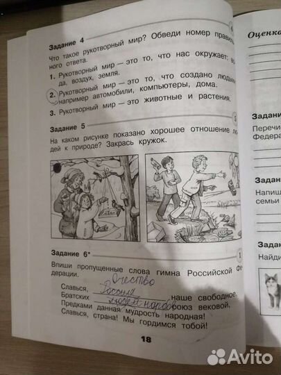 Проверочные работы(Окружающий мир)