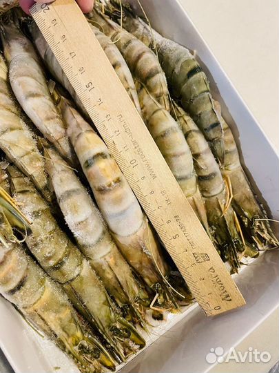 Тигровые креветки Большие