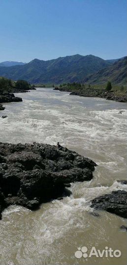 Туры и экскурсии в Горный Алтай