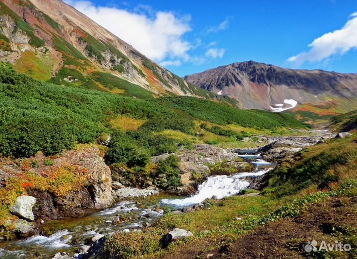 Тур-поездка на Камчатку лето от 7-ми до 9 дн
