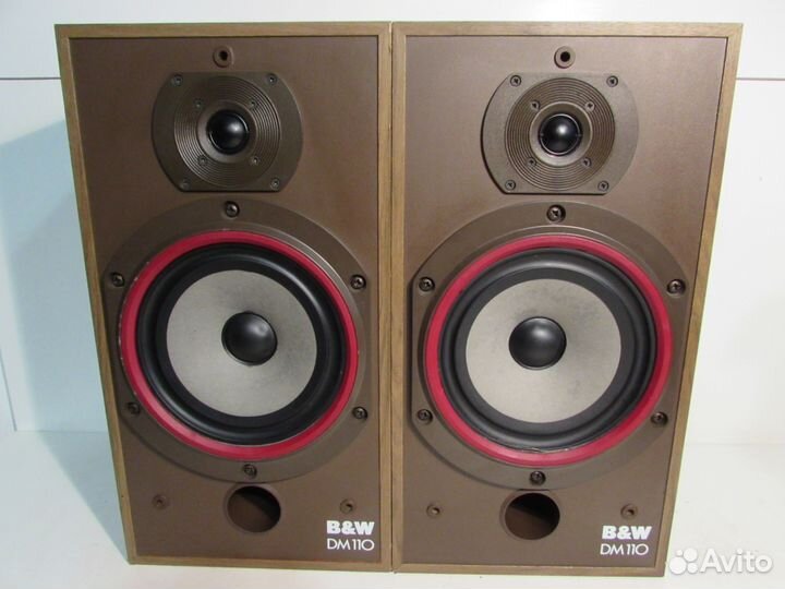 Bowers and wilkins sales dm110