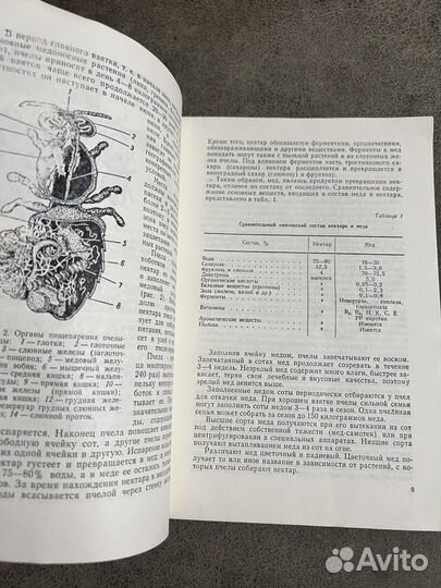 Лечение пчелиным медом и ядом