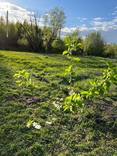 Участок 7,6 сот. (ИЖС)