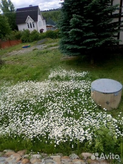 Покос травы