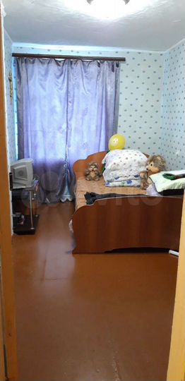 3-к. квартира, 57,9 м², 2/3 эт.