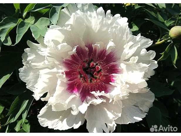 Любимое хобби