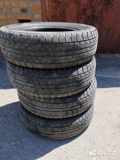 Nexen Winguard Ice 185/70 R14