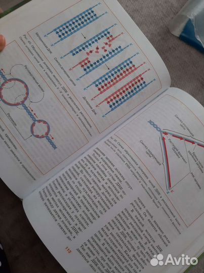 Биология углубленный курс