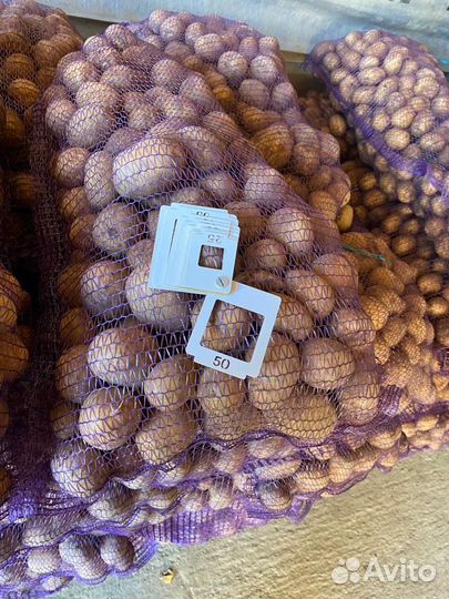 Продам картофель
