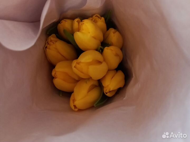 Желтые тюльпаны доставка