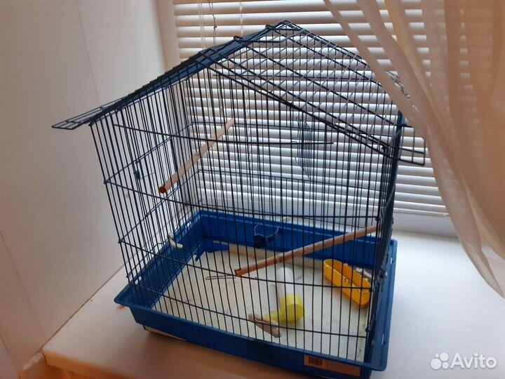 Клетка для попугая