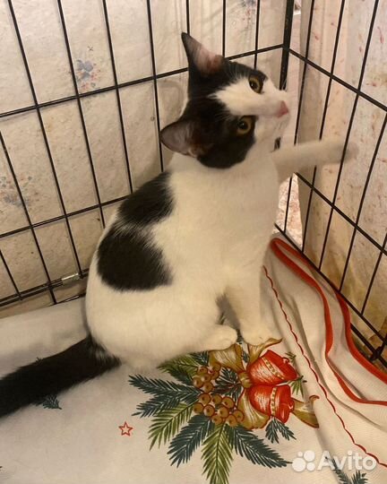 Замурчательный мальчик (5 месяцев)