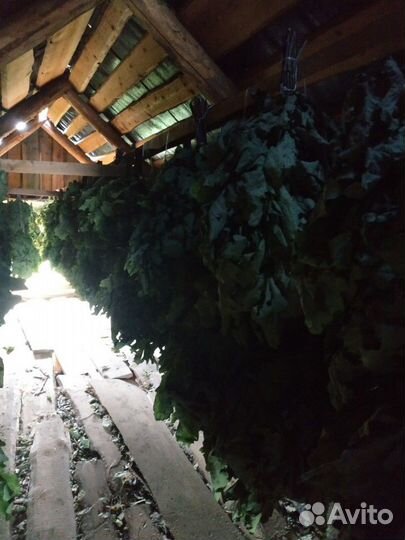 Банные веники