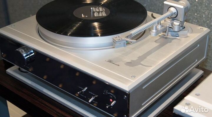 Burmester 175 reference line