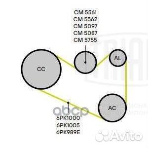 Rapid (2013) 'CM5561 Trialli