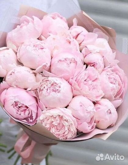 Пионы Цветы Доставка