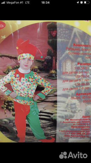 Новогодний костюм петрушка