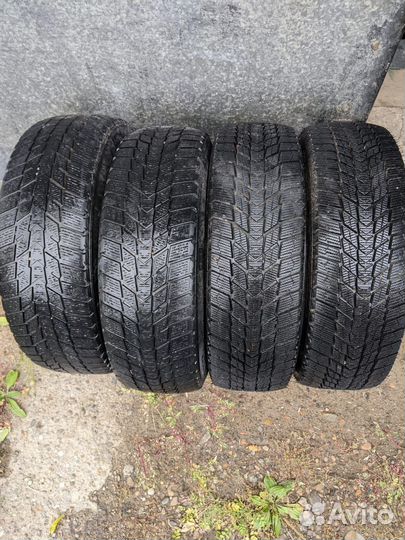 Nexen Winguard Ice Plus 185/65 R15