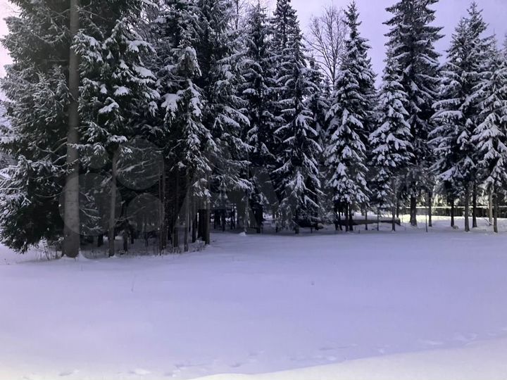 Участок 9,9 сот. (ИЖС)