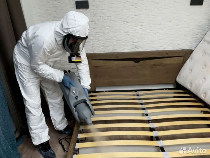 Уничтожение клопов, тараканов, мышей