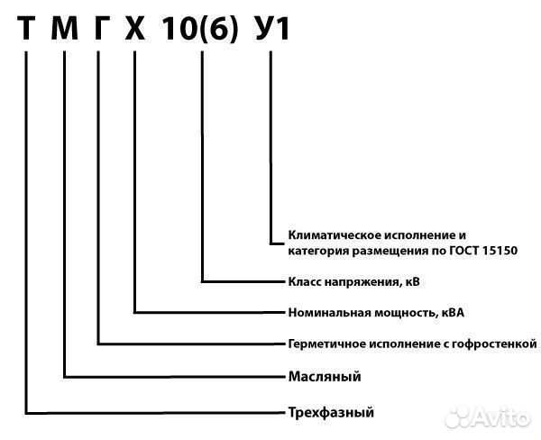 1250*6\10 тмг на масле