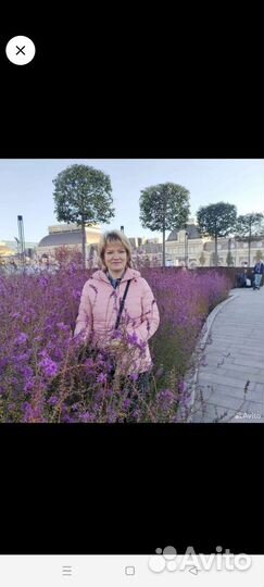 Секретарь, администратор, менеджер